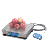 Avery Brecknell/Weigh-Tronix 6720U POS Bench Scale